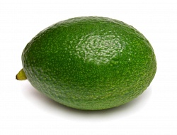 Авокадо гигант